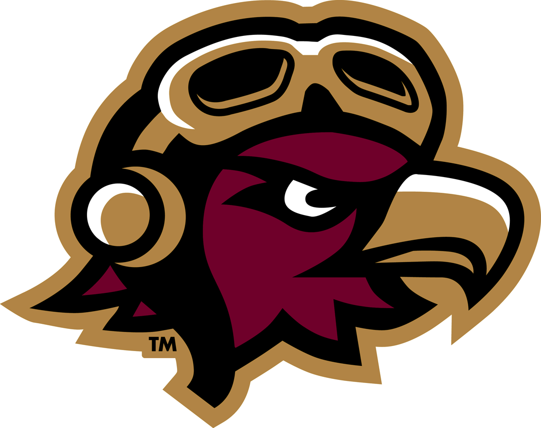 Louisiana-Monroe Warhawks 2006-2015 Mascot Logo iron on paper